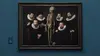 A Musée Vous, A Musée Moi