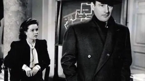 A Night of Adventure