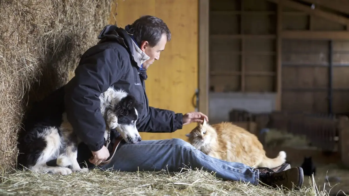 Visuel de A petits pas L'apprentissage