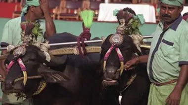 Etats-Unis, Inde et Espagne