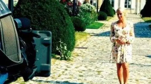 A Place in the Sun: Summer Sun