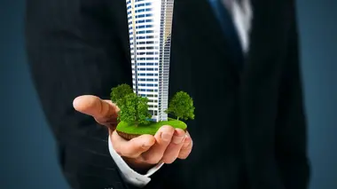 A Place in the Sun: Winter Sun