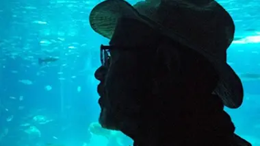 A +/- 5 mètres de la surface des océans