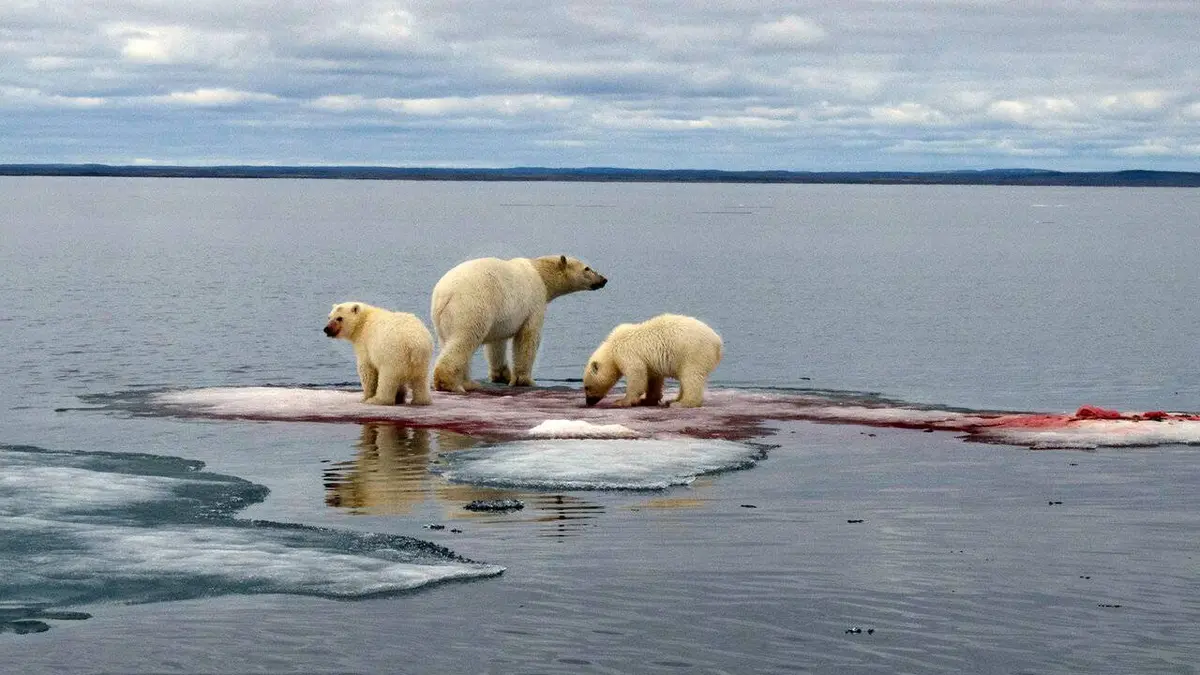 À +/- 5 mètres de la surface des océans
