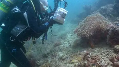 + - 5 mètres S01E02 Observer l'infiniment petit