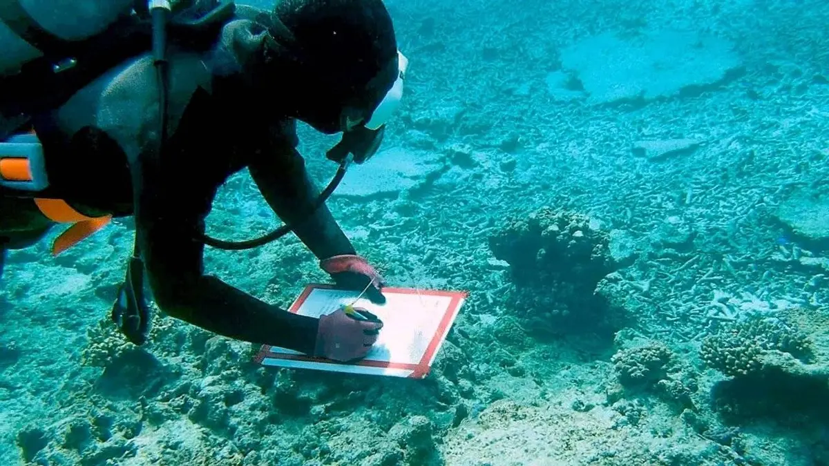 A qui appartiennent les océans ?
