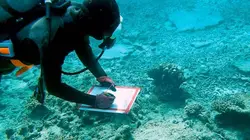 A qui appartiennent les océans ?