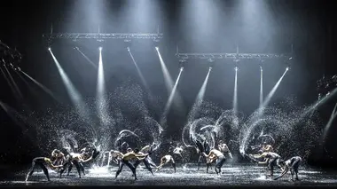 A Swan Lake