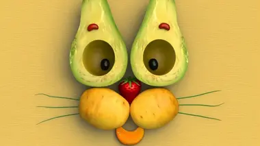 Le chat