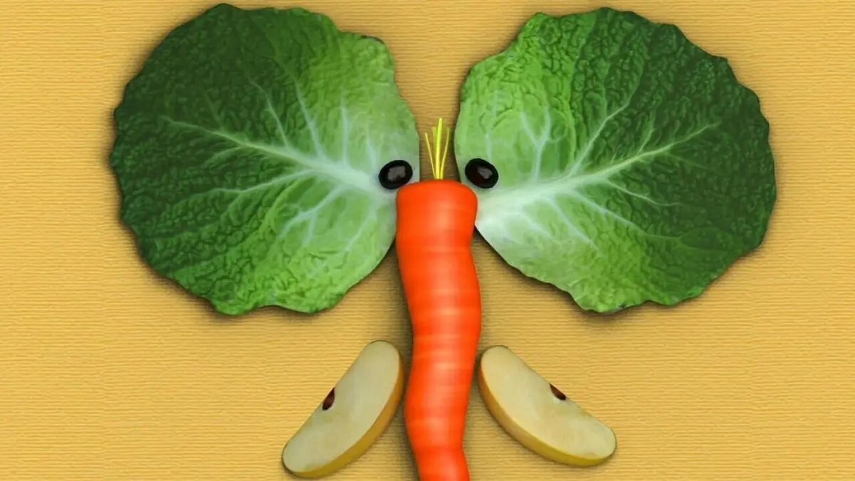 A table T'choupi ! S01E02 L'éléphant