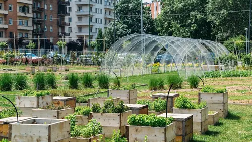 A travers champs Élever autrement