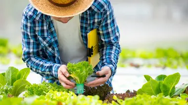 Repenser l'agriculture
