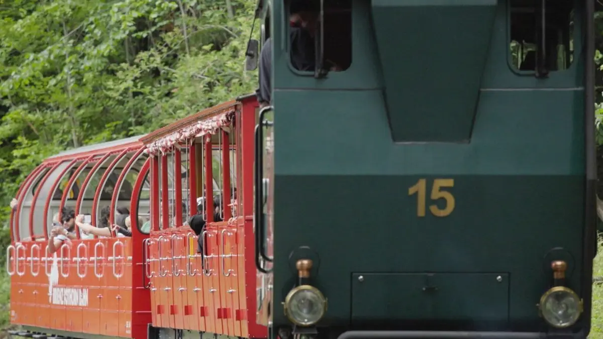 A travers les Cimes : les chemins de fer suisses Le charmant train de Brienz à Rothorn