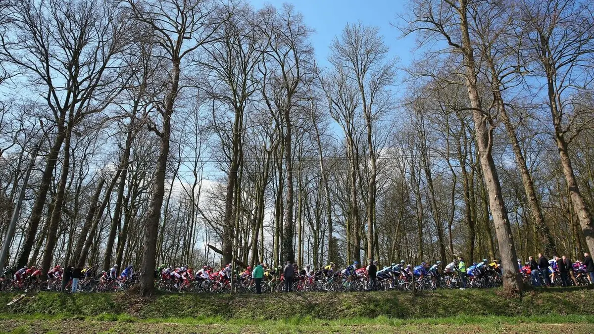 A travers les Flandres Cyclisme UCI World Tour 2025
