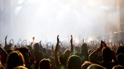 A Tribute to the Cats Band