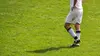 A venir : Benfica Lisbonne / Club Bruges
