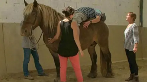 A vous de voir Le cheval guérisseur