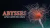 Abysses, la face cachée des océans