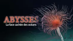 Visuel de Abysses, la face cachée des océans