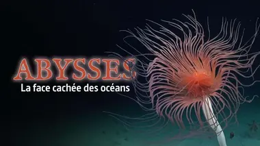 Abysses, la face cachée des océans