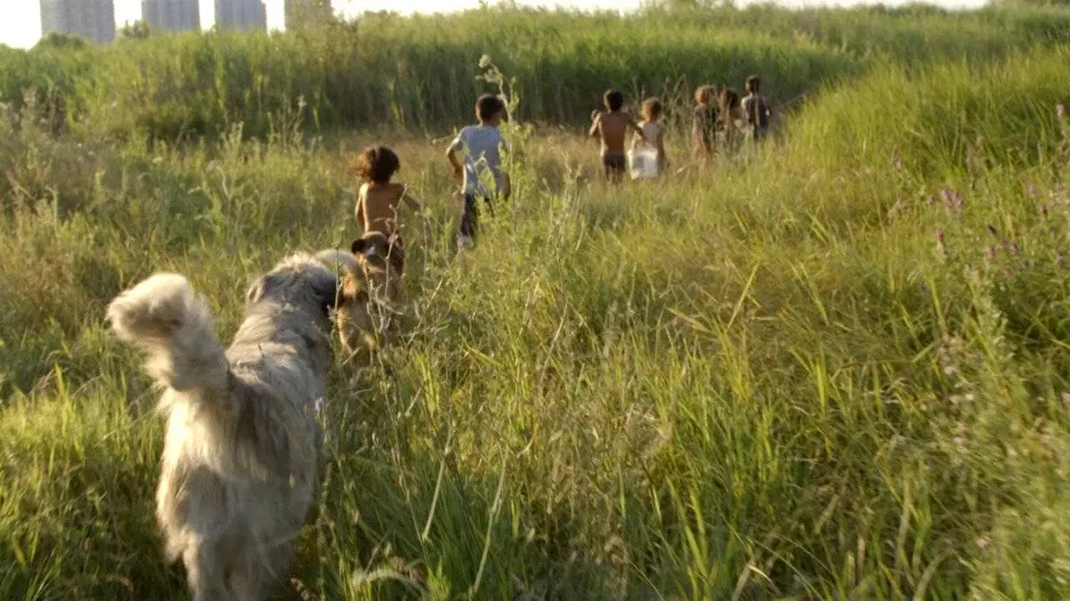 Acasa, l'adieu au fleuve