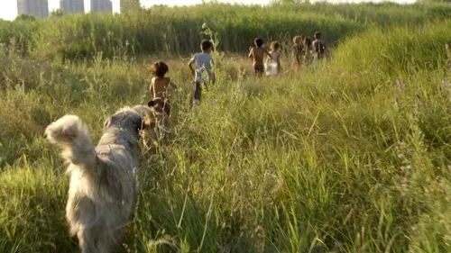 Acasa, l'adieu au fleuve