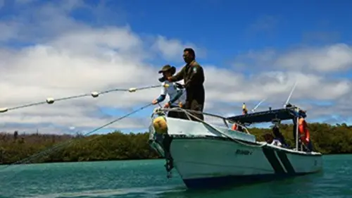 Accès 360° Trésors du patrimoine mondial S02E08 Les îles Galápagos