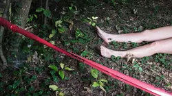 Accident, suicide ou meurtre