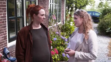 De paardenmishandelaar