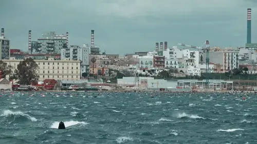 Acier et écologie : l'alliage impossible