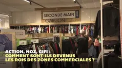 Visuel de Action, Noz, Gifi : comment sont-ils devenus les rois des zones commerciales ?