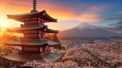 Actu Mangas Interview de Shiori Teshirogi