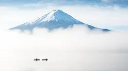 Actu Mangas Interview Paru Itagaki (Beastars)