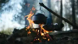 Visuel de Adam & Eve : retour à l'instinct primaire