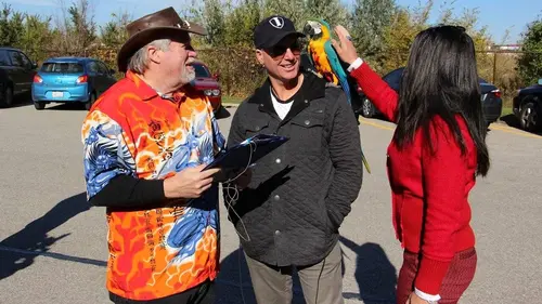 Storage Wars : Adjugé, vendu Le perroquet