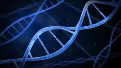 ADN ADN, supermédecin