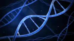 ADN ADN, supermédecin