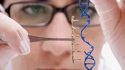 Visuel de ADN : l'humanité sur mesure