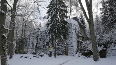 Propagande et culte de la personnalité