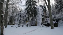 Adolf Hitler : les origines du mal