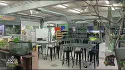 Ados et animaux : une école pas comme les autres