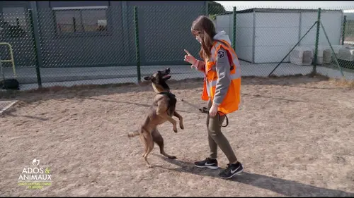 Ados et animaux : une école pas comme les autres