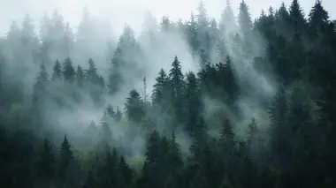 L'affaire Alexandre Castaldo