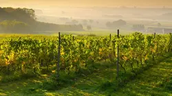 Ados et criminels L'affaire Benjamin