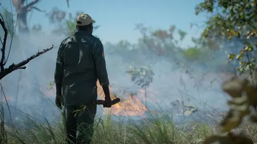 Advancing Australia Dans le feu de l'action