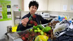 Aéroport JFK : Pris en flag !