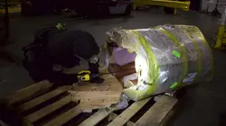 Aéroport JFK : Pris en flag !