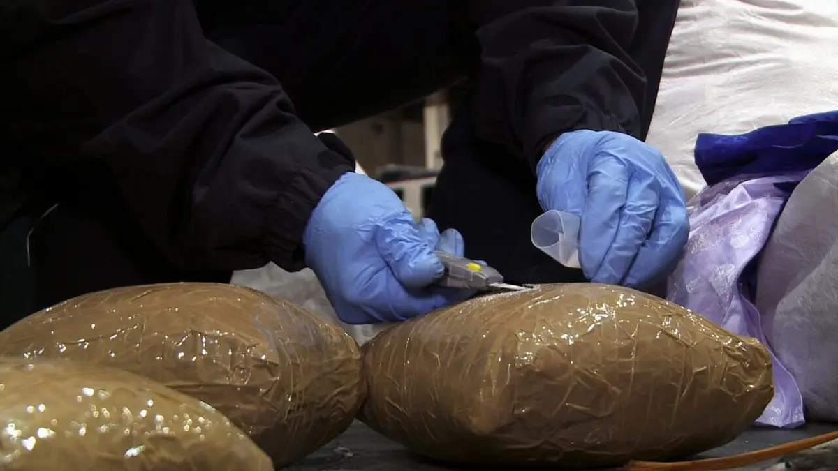 Aéroport JFK : Pris en flag ! Courier to Kingpin