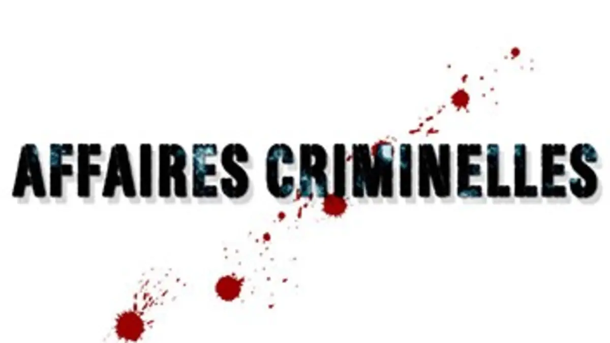 Affaires criminelles Emile Louis : l'affaire des disparues de l'Yonne