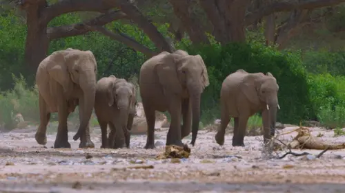 Casting Afrique : à la vie, à la mort Tueurs du désert
